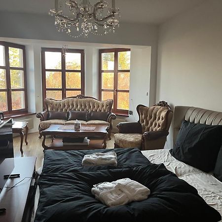 Dogs Resort And Spa Horni Bezdekov Extérieur photo