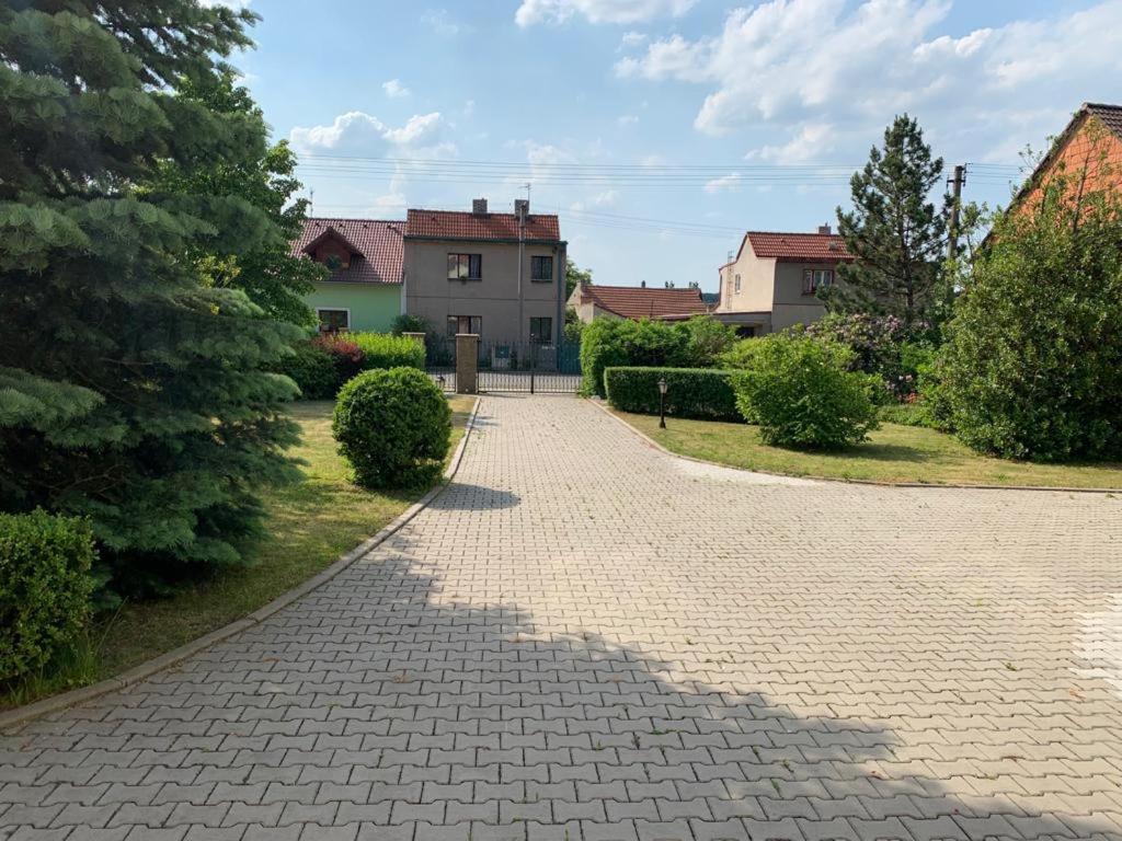 Dogs Resort And Spa Horni Bezdekov Extérieur photo